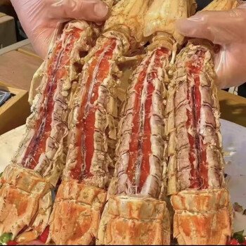 jumbo Mantis Shrimp Live Seafood Shipped with Oxygen Packs