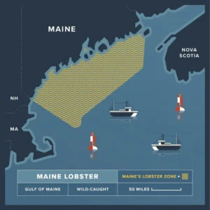 [Super Jumbo 4kg+] Wild-Caught Live Lobster