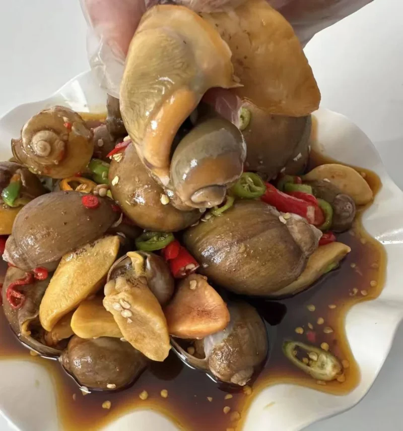 Sizzling Spicy Abalone Snails Buy one bucket, get one bucket free and a 350g taster pack.