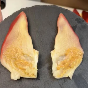 Extra Large Sashimi-Grade Arctic Surf Clam
