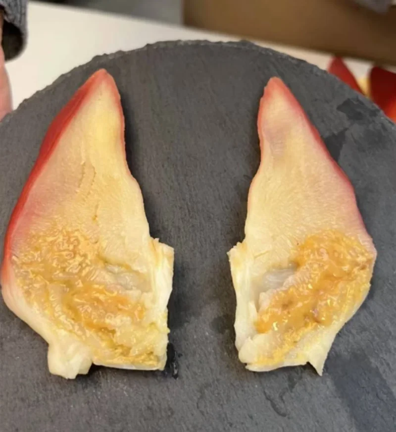Extra Large Sashimi-Grade Arctic Surf Clam