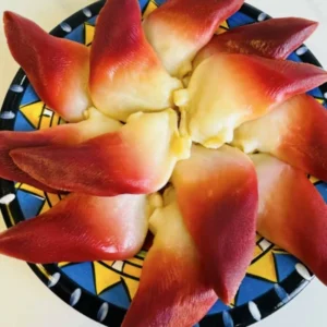 Extra Large Sashimi-Grade Arctic Surf Clam