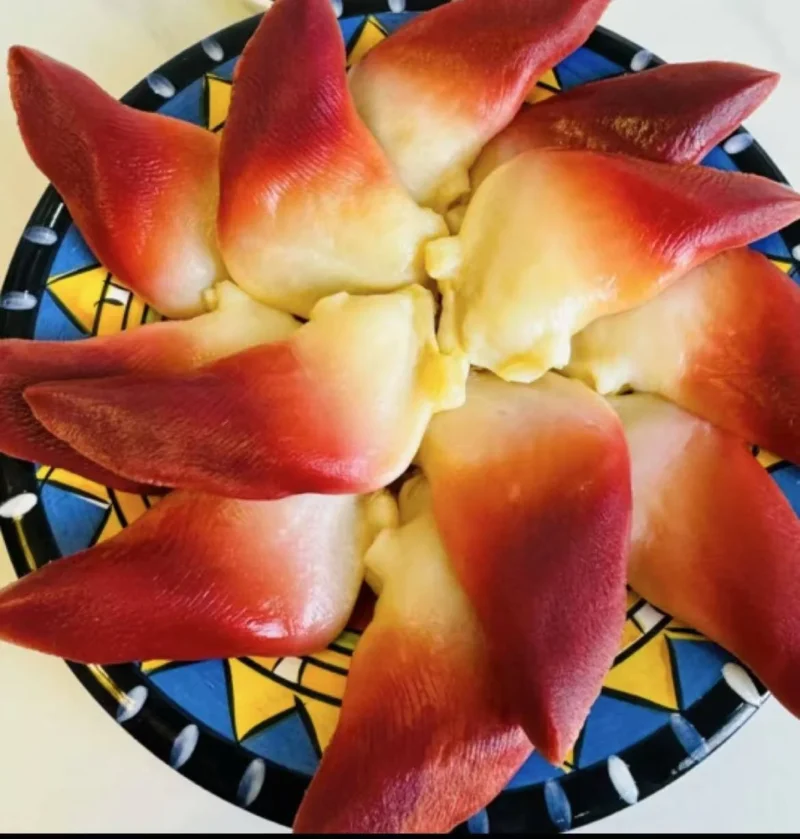 Extra Large Sashimi-Grade Arctic Surf Clam